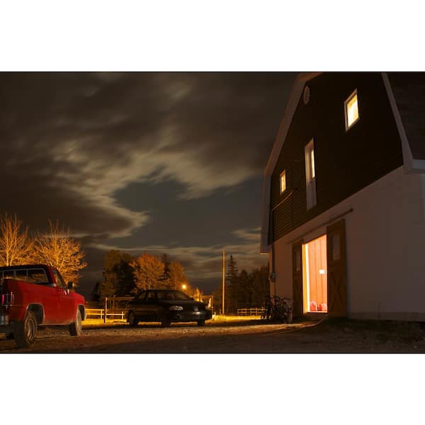 300-Watt High Lumen Clear PS25 Medium E26 Soft White (2700K) Utility Incandescent Light Bulb (1-Pack)