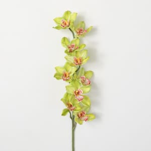 36 in. Artificial Green Cymbidium Orchid Stem