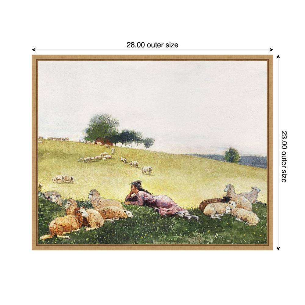 Homers Sheep Countryside II 28"x23" Brown Floater Frame Canvas Print