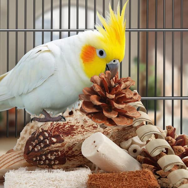 Augbeer Medium Bird Toys Sets for Parakeets Cockatiels Conures