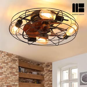 Spinning 20 in. Indoor Black Ceiling Fan with LED Light Bulbs and Remote Control