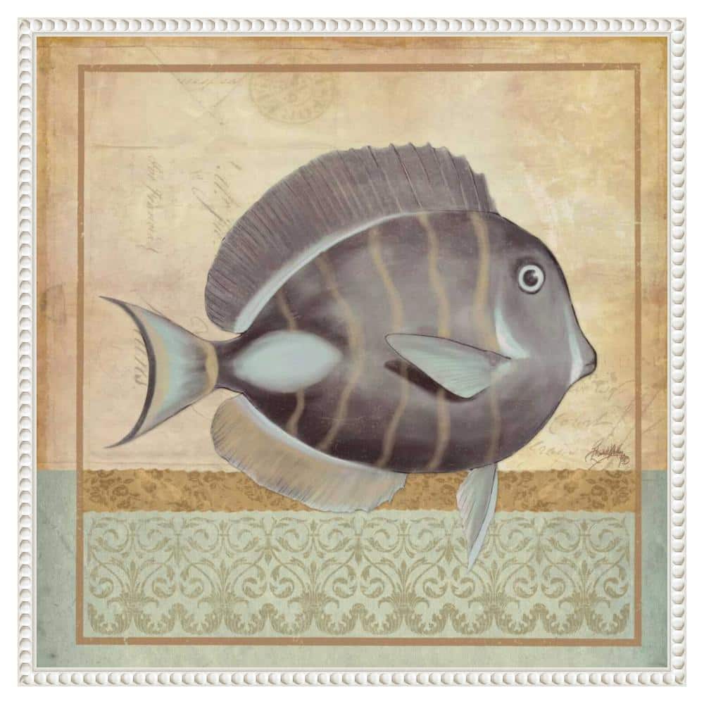 Vintage Fish II Coastal Canvas Wall Art with White Frame