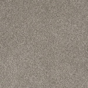 8 in. x 8 in. Texture Carpet Sample - Westchester III - Color Whisper