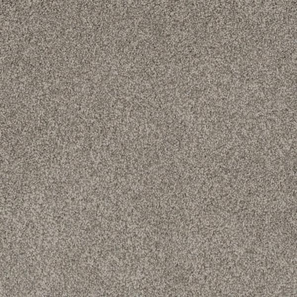 Home Decorators Collection 8 in. x 8 in. Texture Carpet Sample - Westchester III - Color Whisper
