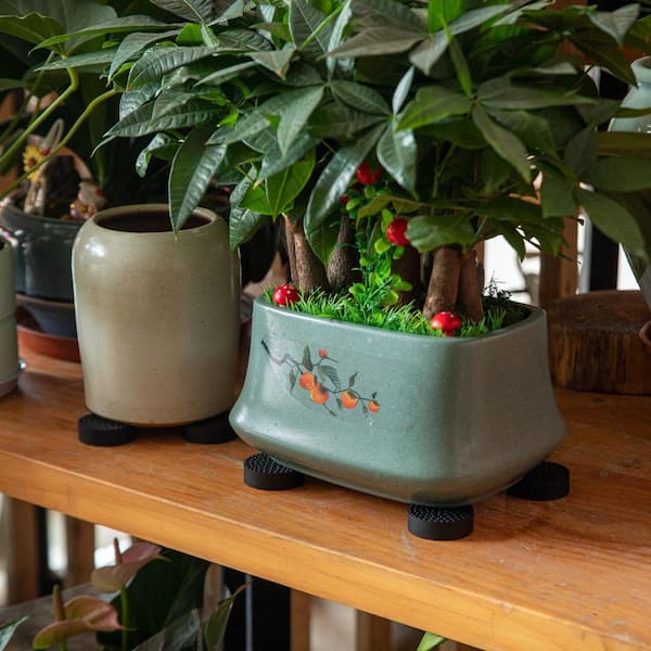 clear pots for plants Clear Self-Watering Hanging Plant Pot – 4