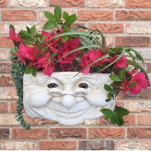 Grandma Violet Ant. 10.5 in. White the Muggly Face Statue Tree and Patio Resin Wall Planter