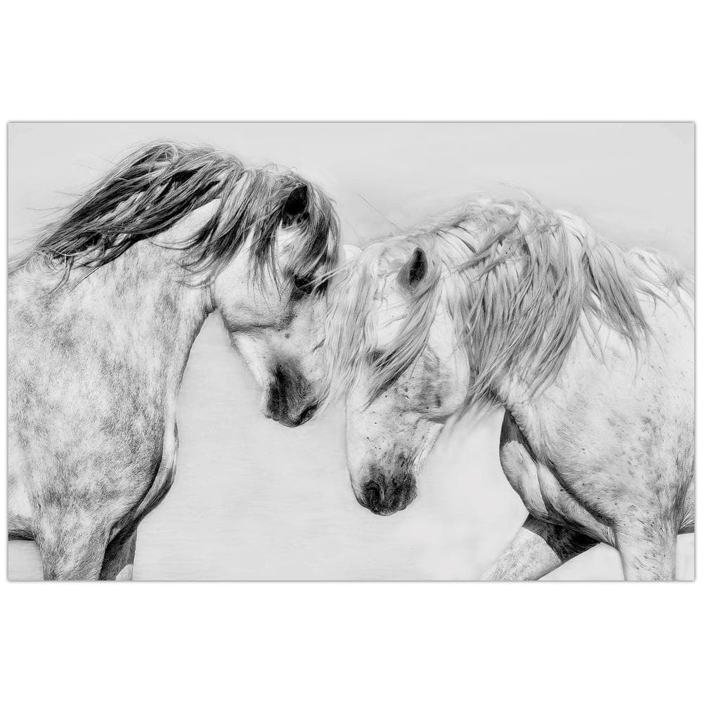Empire Art Direct 32 in. x 48 in. ""Caballo Blanco Equine"" Unframed Floating Tempered Glass Panel Animal Art Print Wall Art, Multi-Color -  TMP-2767259-3248