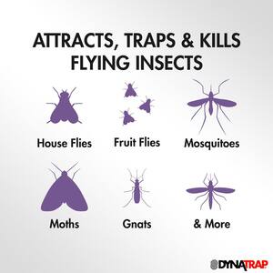 https://images.thdstatic.com/productImages/4163f80a-a0af-4f90-b974-18e44fb0d229/svn/black-dynatrap-insect-traps-dt152-e4_300.jpg