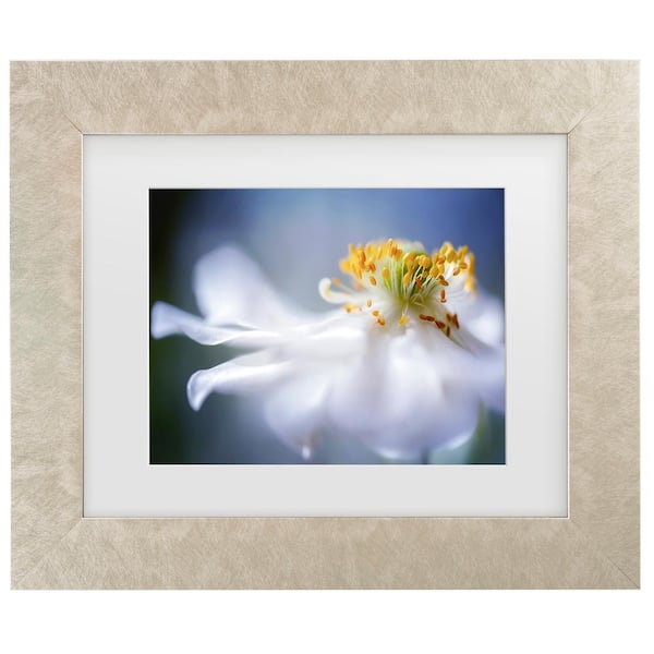 Trademark Fine Art Mandy Disher Anemone 1-Matted Framed Photography Wall Art 14.5 in. x 17.5 in