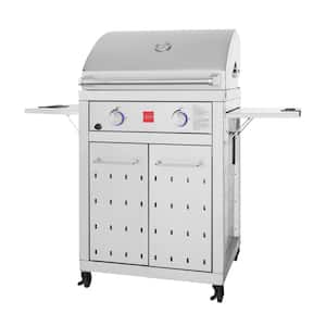Premium 2-Burner Natural Gas Grill in 304 Stainless Steel