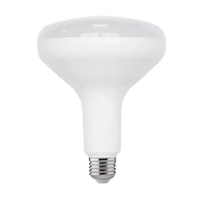 90-Watt Equivalent BR40 Dimmable ENERGY STAR LED Light Bulb Soft White (2-Pack)