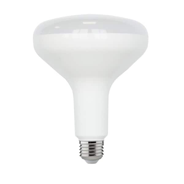 ervaring knal metriek EcoSmart 90-Watt Equivalent BR40 Dimmable ENERGY STAR LED Light Bulb Soft  White (2-Pack) BR40-1D 15W E26 120V 2700K - The Home Depot
