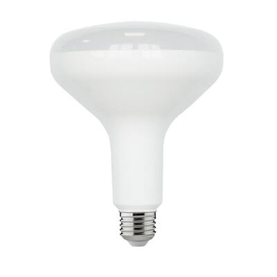 par 40 led dimmable