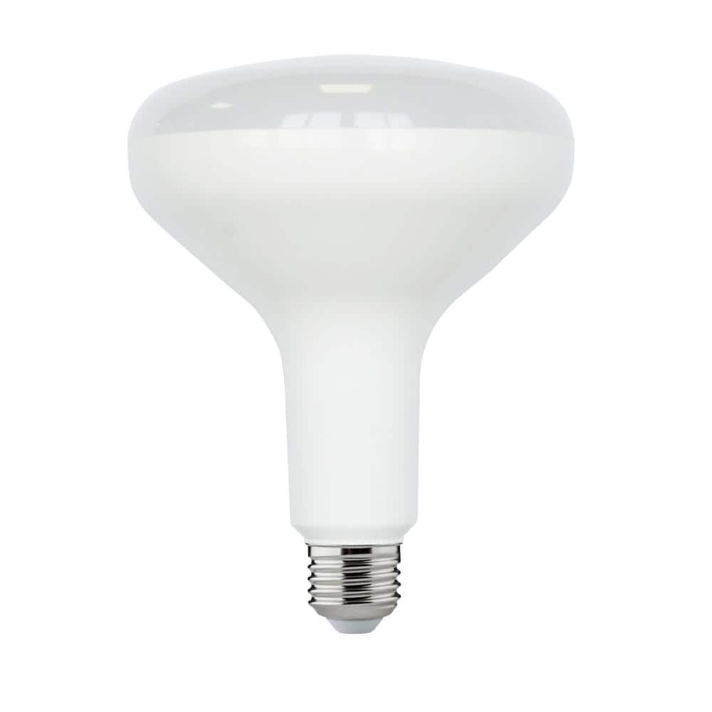 75-Watt Equivalent BR40 Dimmable LED Light Bulb Soft White (6-Pack)