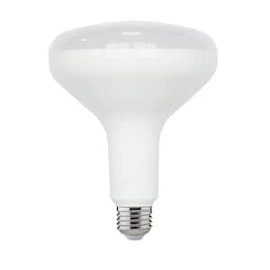 br40 led dimmable bulbs