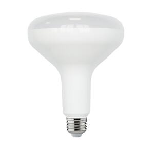 75-Watt Equivalent BR40 Dimmable ENERGY STAR LED Light Bulb Soft White (2-Pack)