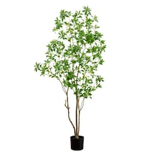 7ft. Artificial Minimalist Japanese Pieris Tree with Real Touch Leaves