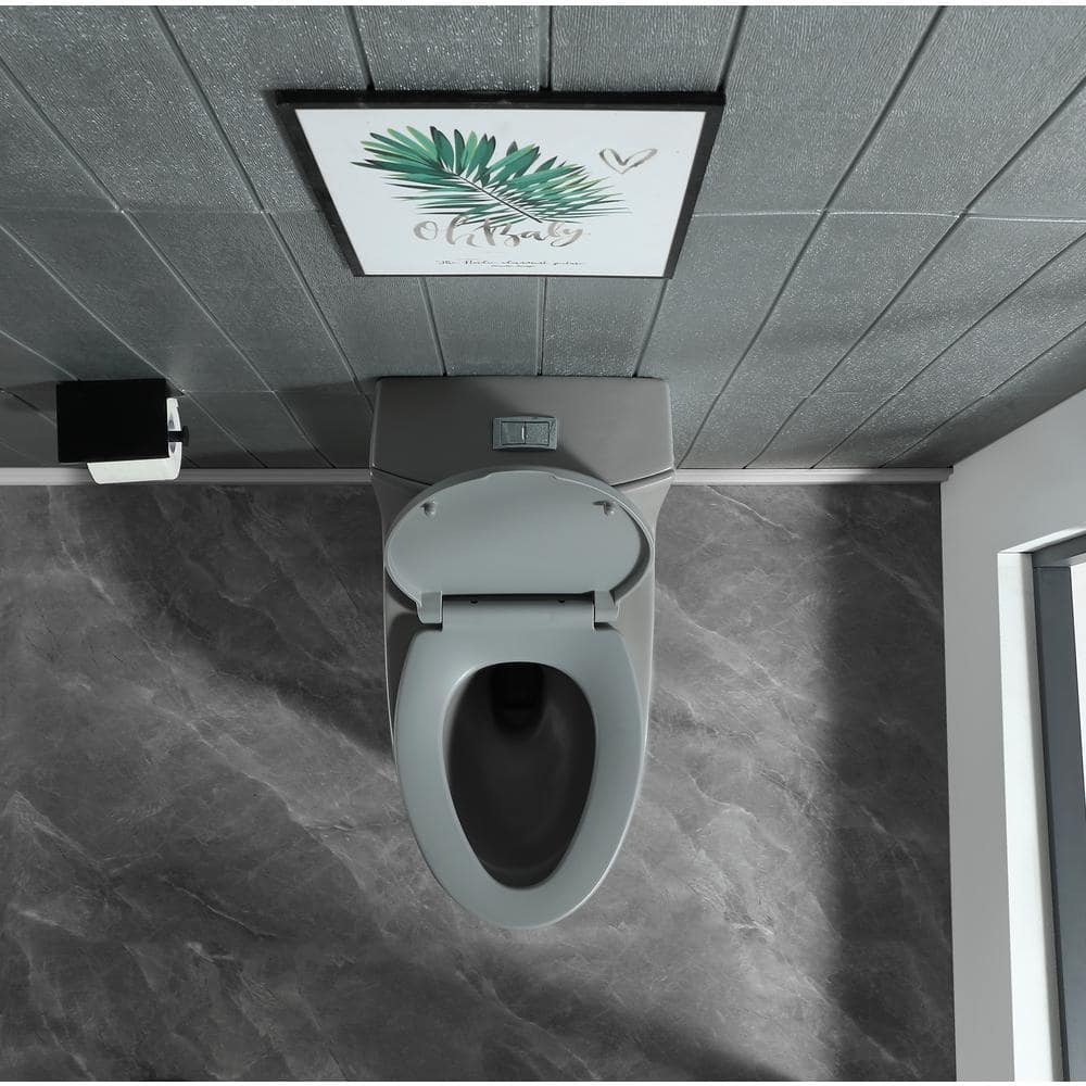 Light Gray Elongated Dual Flush One-Piece Toilet with Soft Closing Seat