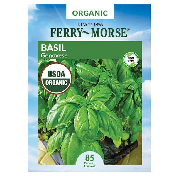 Ferry-Morse Organic Basil Genovese Herb Seed