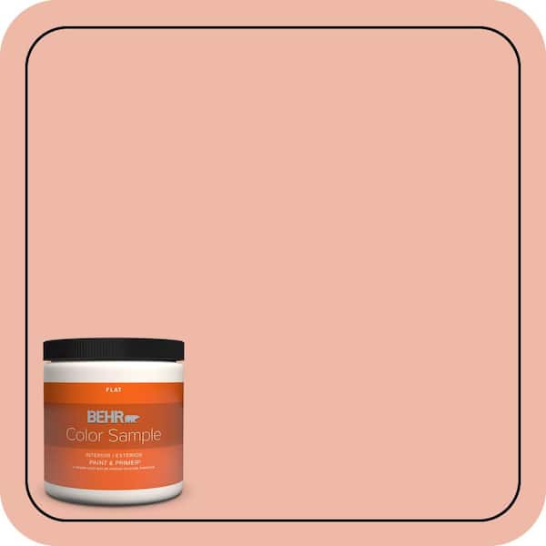 BEHR PREMIUM PLUS 8 oz. #210C-3 Jovial Flat Interior/Exterior Paint & Primer Color Sample