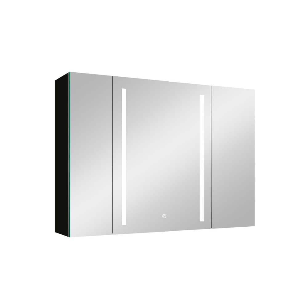 40 in. W x 30 in. H Black Aluminum Surface Mount Double Door Lighted Medici