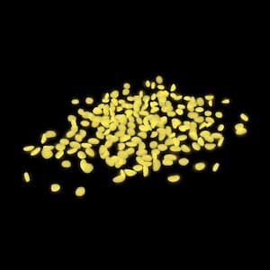 200-Count Glow in the Dark Pathway Stones in Yellow