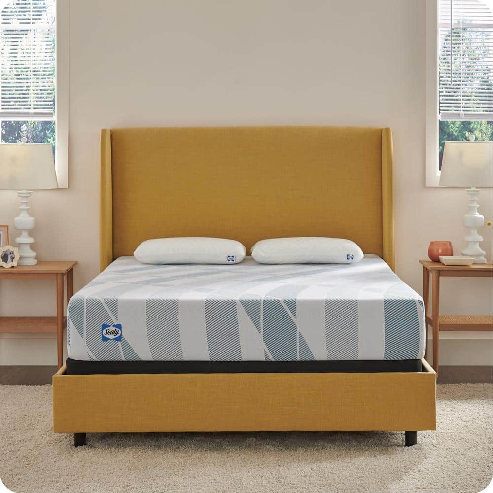 Dreamlife King Medium-Firm Hybrid 10 in. Bed-in-a-Box Mattress price history on PriceWatchPro