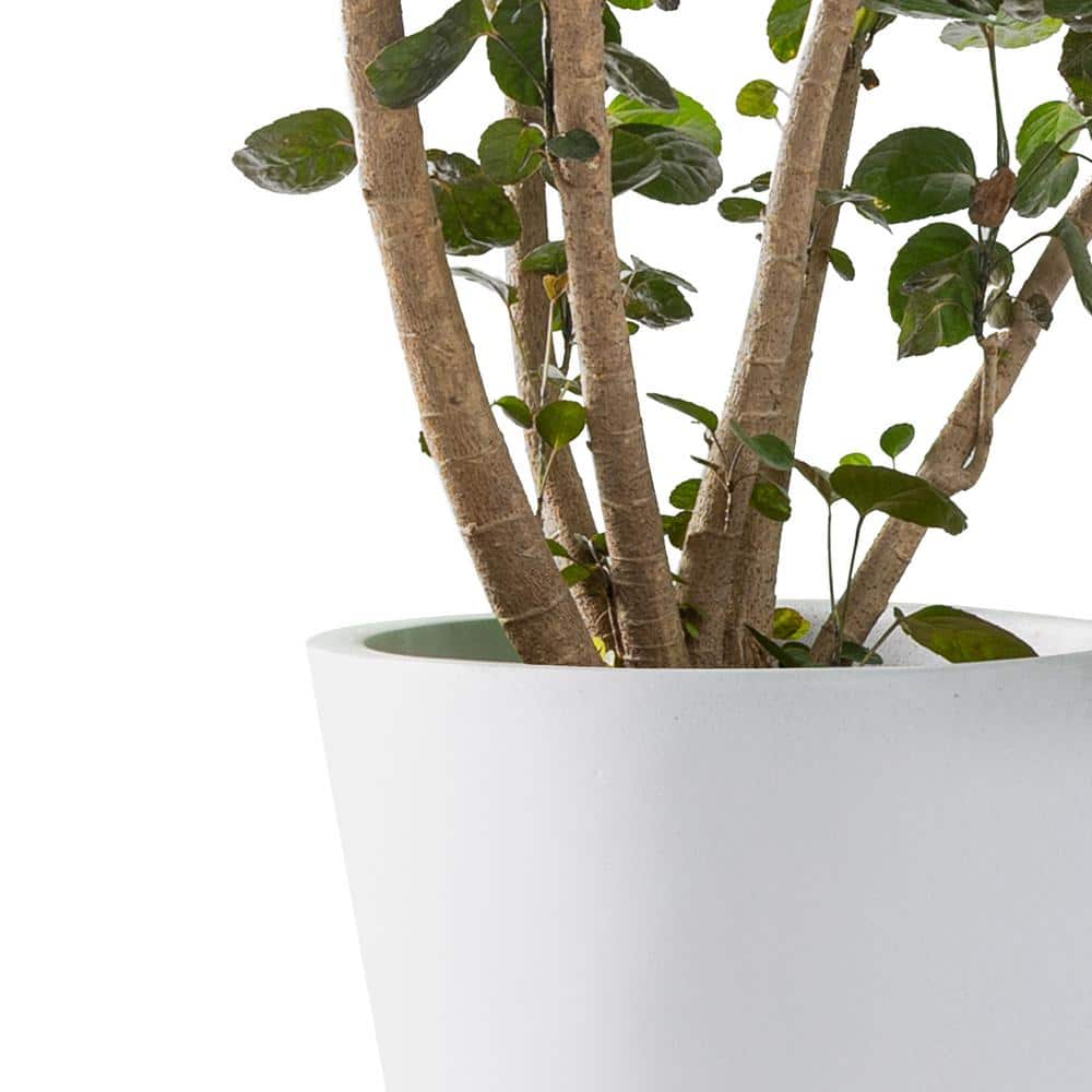 Set of 4 Pure White Lightweight Concrete Cylindrical Planters