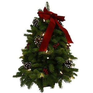 18 in. Balsam Classic Fresh Cut Fresh Pre-Lit Tabletop Tree Arrangement : Multiple Ship Weeks Available