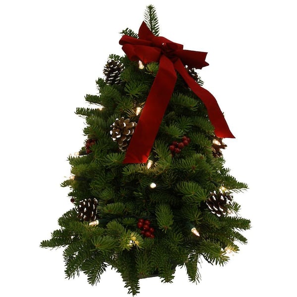 Worcester Wreath 18 in. Balsam Classic Fresh Cut Fresh Pre-Lit Tabletop Tree Arrangement : Multiple Ship Weeks Available