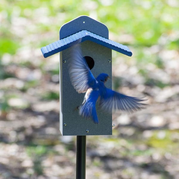 BIRDS choice Bluebird House in Gray and Blue Recycled Plastic