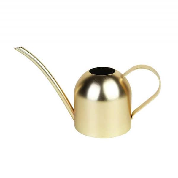 Dyiom 15 oz. Stainless Steel Gold Water Can for Garden
