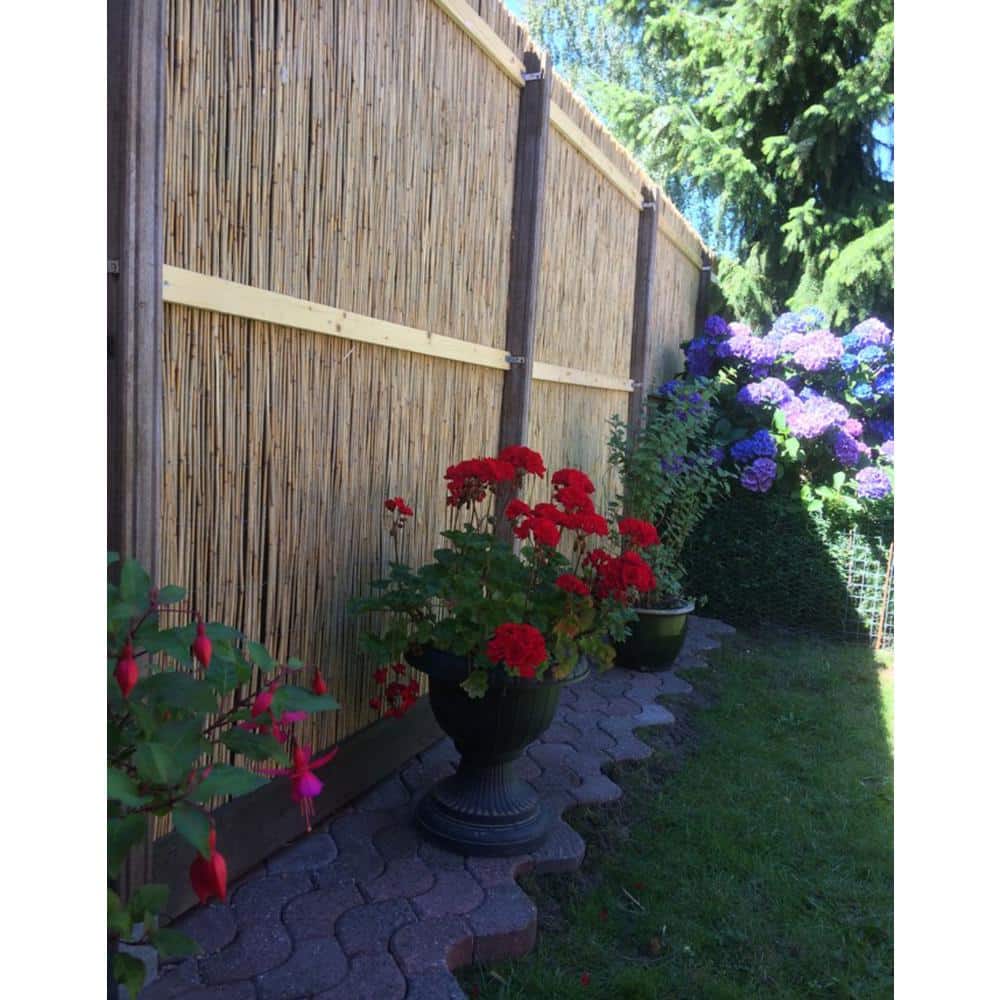 Natural Bamboo Reed Garden Fence with Black Nylon Coated Wire, 6'H x 14'L