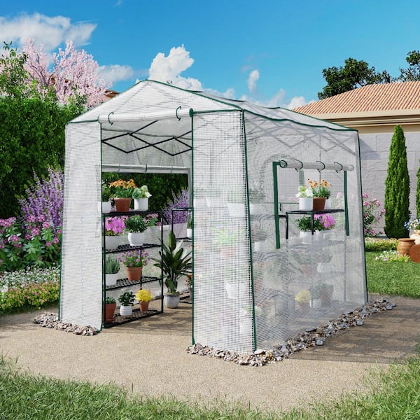 6 ft. W x 8 ft. D Walk-In Greenhouse Canopy, with Roll-Up Zipper Door, 4-Tier Plant Stand, for Planting and Storage