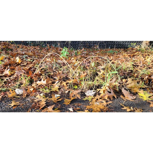 MGP 72 in. L x 2 in. W Natural Black Bamboo Level Top Edging