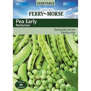 Pea Early Perfection Seed