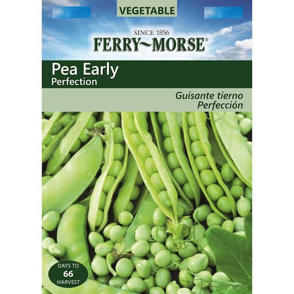 Ferry-Morse Pea Early Perfection Seed
