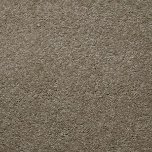 8 in. x 8 in. Texture Carpet Sample - Sweet Dreams I -Color Clay