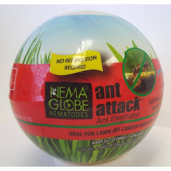 Nema-globe Ant Attack Ant Eliminator