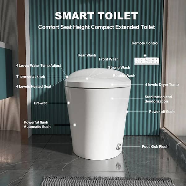 Smart Toilet with Automatic Flush and Heated Toilet Seat, One-Piece Dual  Flush Toilet with Warm Water, Night Light, HR-T20