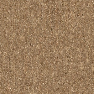 Port Isabel - Canyon - Brown 15 ft. 46.8 oz. SD Nylon Pattern Installed Carpet