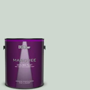 1 gal. #MQ3-21 Breezeway One-Coat Hide Ceiling Flat Interior Paint & Primer