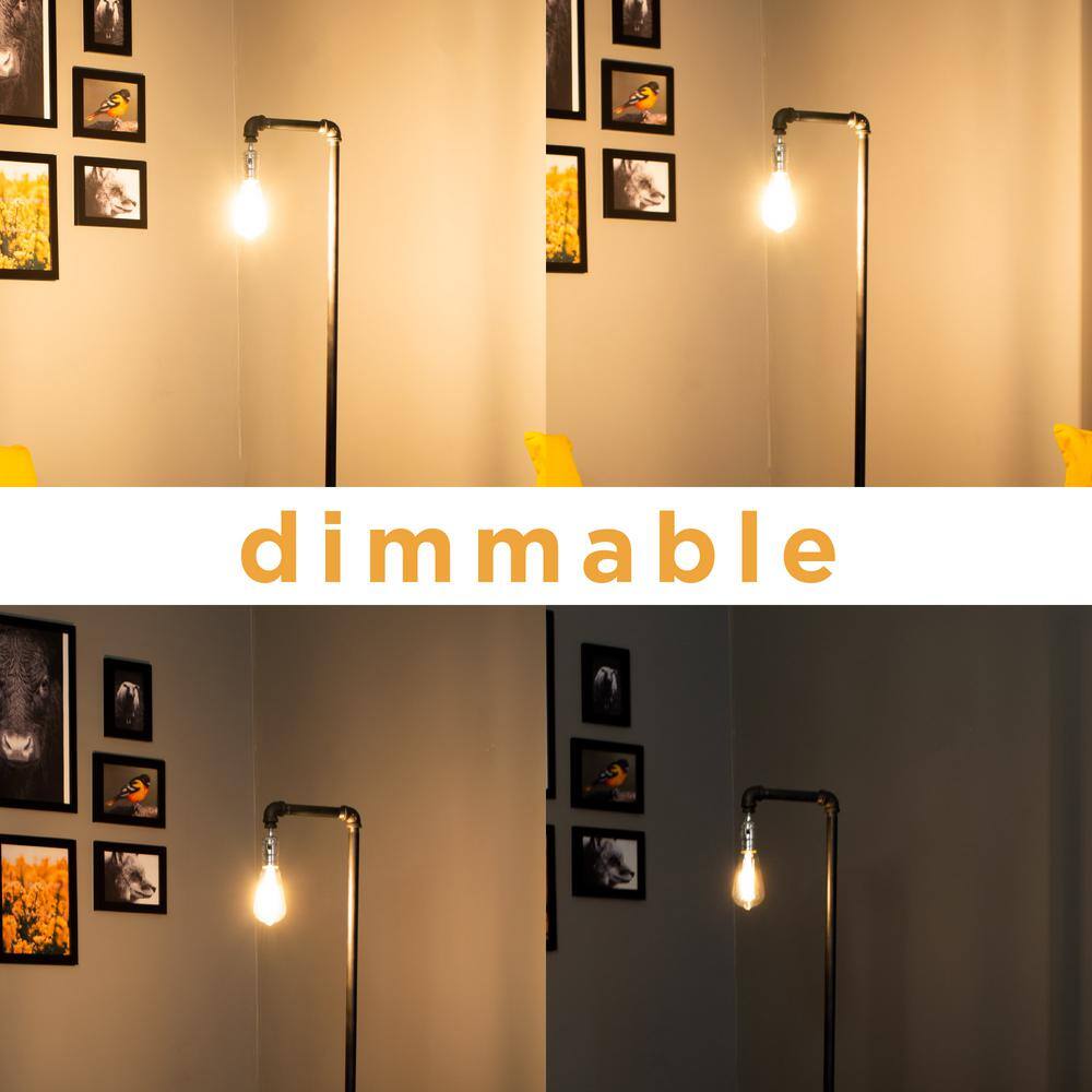 Industrial Black Steel Pipe Floor Lamp with Edison Bulb