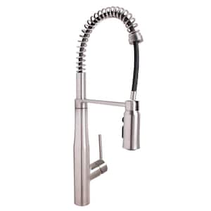 Neo Single-Handle Spring Pull-Down Sprayer Kitchen Faucet in Stainless Steel