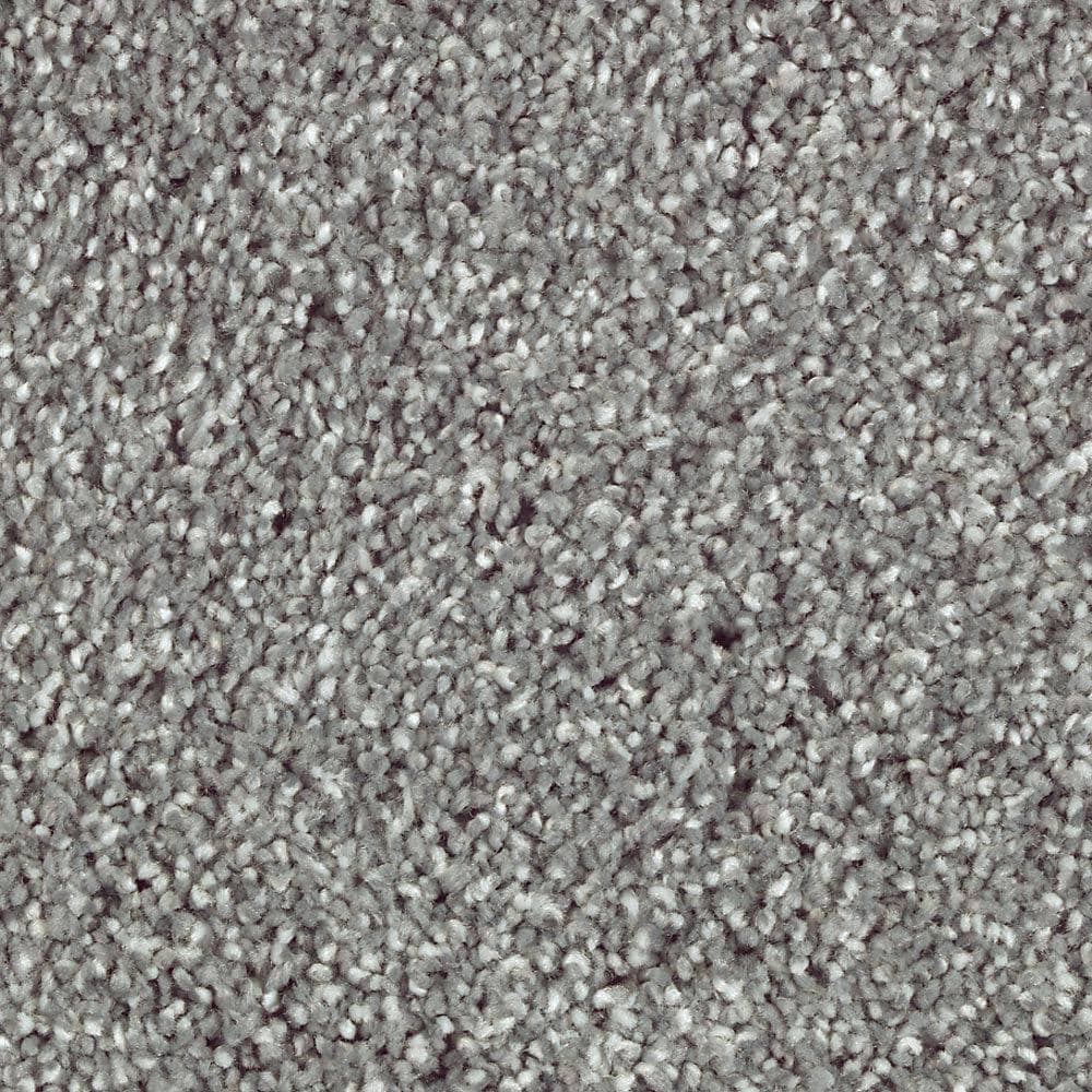 8 in. x 8 in. Texture Carpet Sample - Tides Edge -Color Danube price history on PriceWatchPro