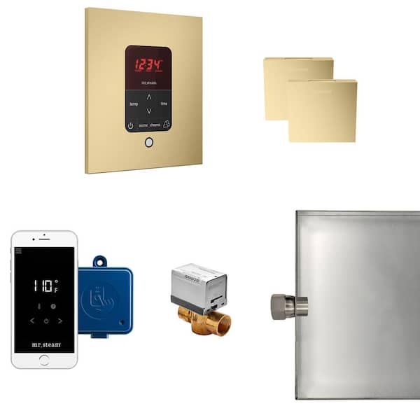 Mr. Steam Butler Max Package Square in Satin Brass