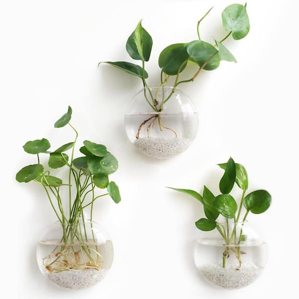 Oblate Glass Terrarium Hydroponics Vase 3 Pack Wall Mount Planter