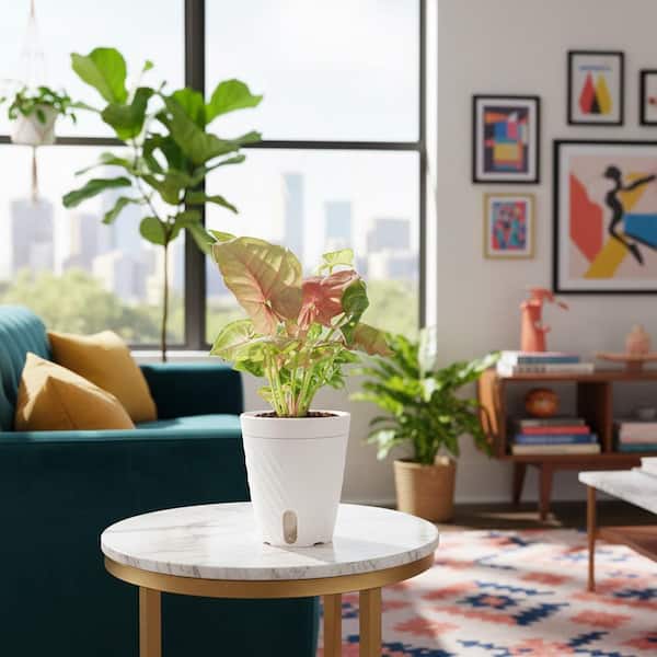 Costa Farms 4.8in Exotic Angel Assortment Foliage Plant in Self