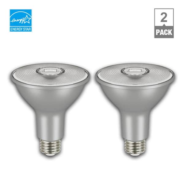 EcoSmart 75-Watt Equivalent PAR30 Dimmable Flood LED Light Bulb Bright White (2-Pack)