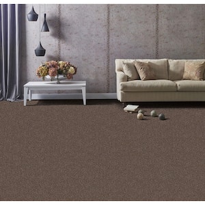 Founder - Scout - Brown 18 oz. SD Polyester Texture Installed Carpet